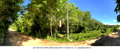ที่ดิน ถลาง ภูเก็ต : ขายที่ดินสวนยางพารา บ้านแหลมทราย ภูเก็ต
