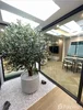 listing thumbnail image 23
