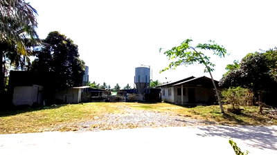 ขายที่ดิน : ฟาร์ม 1603 ตร.วา เมืองพัทลุง พัทลุง 5.7M