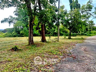 ที่ดิน สำนักงานขนส่งจังหวัดเชียงใหม่ : ที่ดินสำหรับขาย ทำเลนิมมานเหมินท์ สุเทพ เชียงใหม่ พร้อมพัฒนา (ID 2958072)