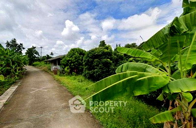 ที่ดิน สำนักงานขนส่งจังหวัดเชียงใหม่ : ที่ดินขาย ในย่านเมืองเก่าเชียงใหม่ ศรีภูมิ เมืองเชียงใหม่ เชียงใหม่ (ID 2958068)