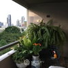 listing thumbnail image 8