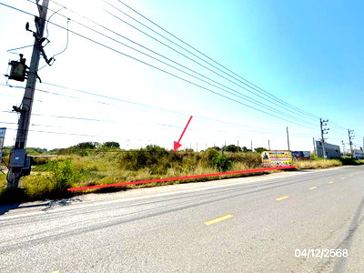 ที่ดิน ดอนหอยหลอด : ที่ดินว่างเปล่า 6851 ตร.วา เมืองสมุทรสงคราม สมุทรสงคราม 54.6M
