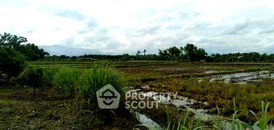 ที่ดิน สำนักงานขนส่งจังหวัดเชียงใหม่ : ที่ดินสำหรับขาย ใน  ศรีภูมิ เมืองเชียงใหม่ เชียงใหม่ (ID 2954971)