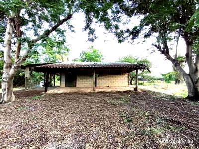 ขายที่ดิน : ฟาร์ม 2626 ตร.วา ห้วยกระเจา กาญจนบุรี 3.1M
