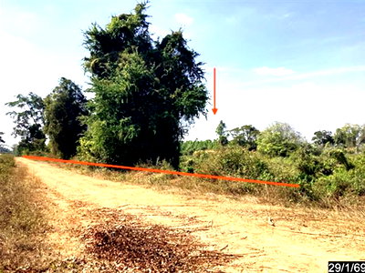 ขายที่ดิน : ที่ดินว่างเปล่า 3170 ตร.วา ชุมพวง นครราชสีมา 5.5M