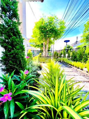 Houses for sale Pathumthani : For Sale House , Chaiyaphruek 1 , corner unit , newly renovated , Bang Khu Wat , Mueang Pathum Thani , Pathum Thani , CX-157207 ✅ Live chat with us ADD LINE @connexproperty ✅