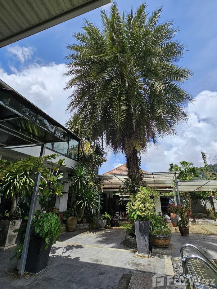 picture 4 Bedroom House for rent in Ratsada, Phuket  1942805 - 9/25