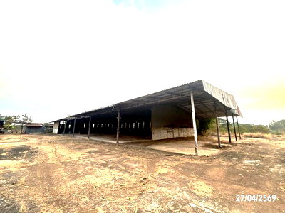 ขายโรงงาน : โกดัง 14145 ตร.วา น้ำขุ่น อุบลราชธานี 14.2M