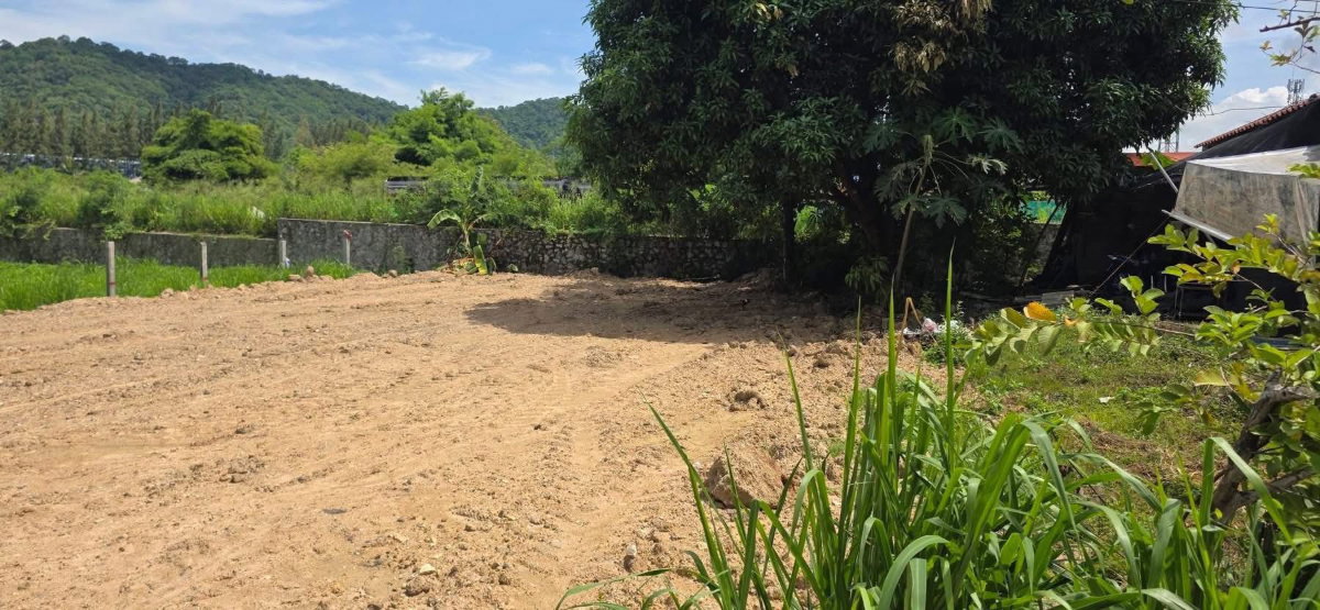รูป ขายที่ดิน 102 ตรว. วิวภูเขาธรรมชาติ บางพระ ศรีราชา - รูปที่ 2/6