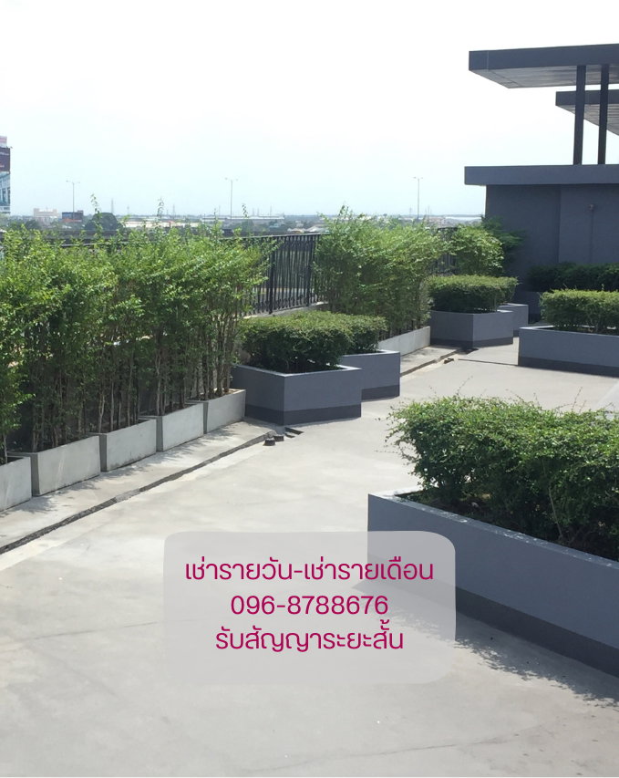 รูป คอนโด คาซ่า ฟรานซ์ เอแบค บางนา - รูปที่ 18/34