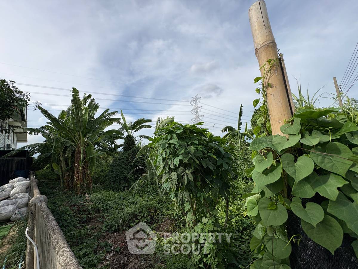 รูป ที่ดินขายพร้อมเลี้ยงสัตว์ได้ ในแถวลำประทิว เขตลาดกระบัง กรุงเทพมหานคร (ID 2961265) - รูปที่ 3/6