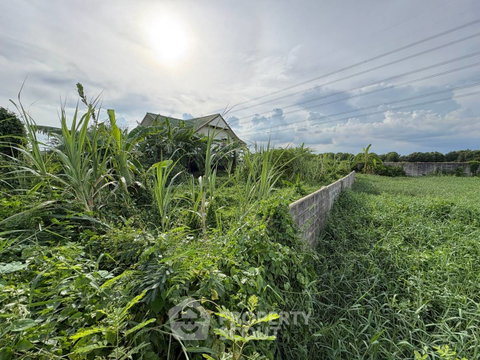Pet-Friendly Land For Sale In Lam Prathew, Lat Krabang, Bangkok (ID 2961265)