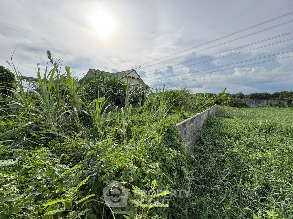 รูป ที่ดินขายพร้อมเลี้ยงสัตว์ได้ ในแถวลำประทิว เขตลาดกระบัง กรุงเทพมหานคร (ID 2961265) - รูปที่ 1/6