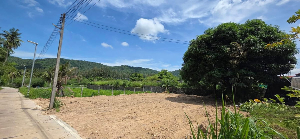 รูป ขายที่ดิน 102 ตรว. วิวภูเขาธรรมชาติ บางพระ ศรีราชา - รูปที่ 4/6