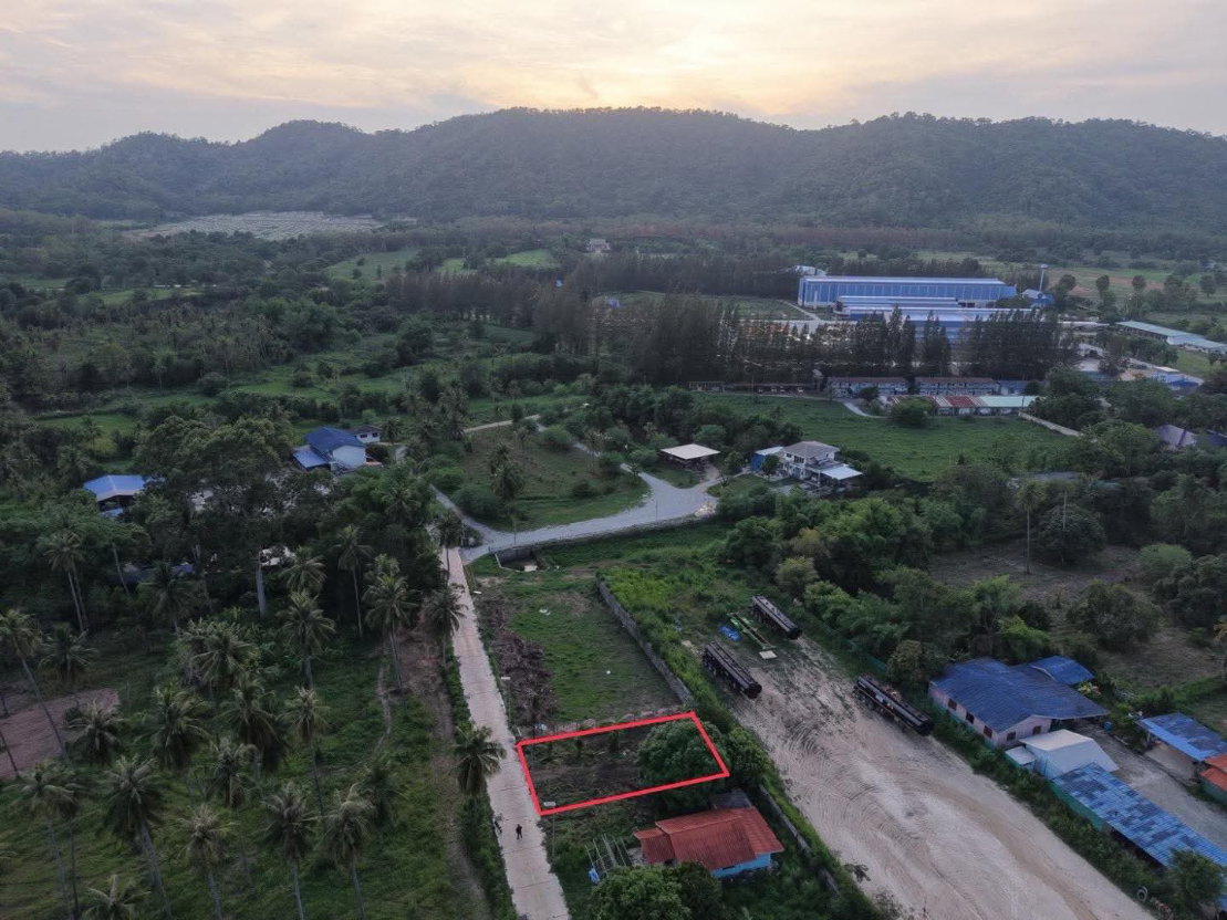 รูป ขายที่ดิน 102 ตรว. วิวภูเขาธรรมชาติ บางพระ ศรีราชา - รูปที่ 3/6