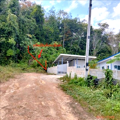 ขายที่ดิน : ที่ดินว่างเปล่า 105.6 ตร.วา เมืองกระบี่ กระบี่ 1.3M