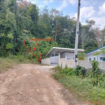 ที่ดินว่างเปล่า 105.6 ตร.วา เมืองกระบี่ กระบี่ 1.3M
