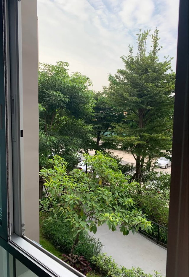 รูป รบกวนแอดไลน์เท่านั้น // 💞 D condo bliss ตึกA ชั้น 2 ขายพร้อมผู้เช่า - รูปที่ 14/15