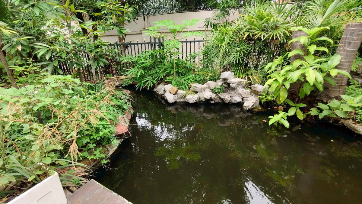 รูป บ้านเดี่ยวหรู 2 ชั้น ลัดดาวัลย์ 🌿 Land 252.9 ตร.ว. - รูปที่ 6/13