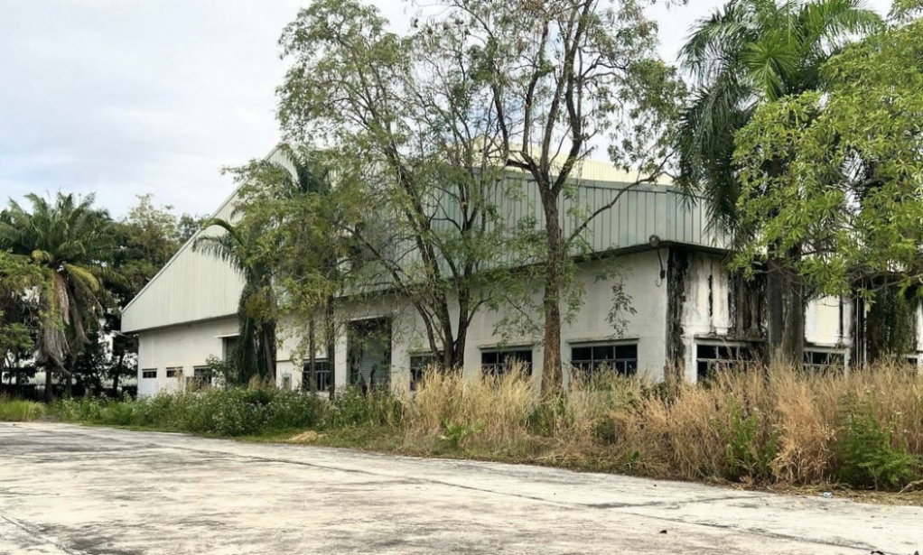 รูป ขายที่ดิน 308 ไร่ แถมฟรีโรงงานที่ดินสีม่วงเข้ม ปราจีนบุรี - รูปที่ 11/12