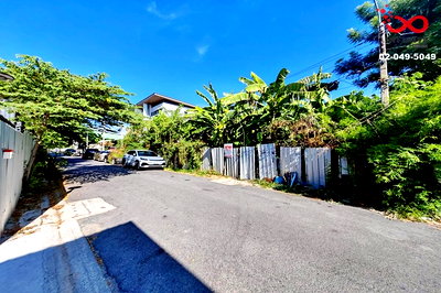 ที่ดิน ทาวน์ อิน ทาวน์ : ขายที่ดินเปล่า 103 ตร.ว. ลาดพร้าว 80 วังทองหลาง ใกล้รถไฟฟ้าสายสีเหลือง ลาดพร้าว 71