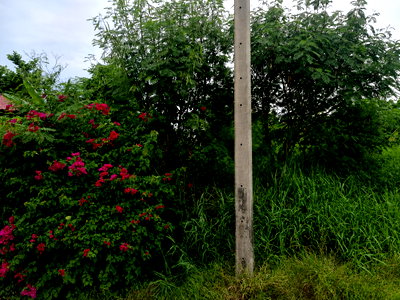 Land for sale Bang Pu Industrial Estate : Land for Sale – Rare Dual-Waterfront Plot! 💥 🔥 Very Cheap! 131.9 sq.wah