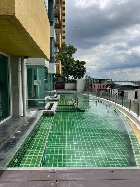 รูป A050030 M Society - รูปที่ 7/8
