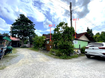 บ้านเดี่ยว เมืองระยอง ระยอง : บ้านเดี่ยว 70 ตร.วา ระยองซิตี้ปาร์ค เมืองระยอง ระยอง 2.2M
