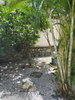 listing thumbnail image 23