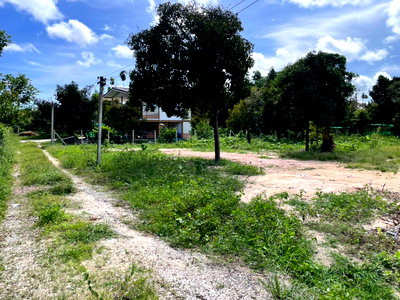 Land for sale IRPC Public Company Limited : 1 rai of land for sale in Tapong, Rayong City. Near Tapong fruit market. Close to the city, ideal for living or retirement.