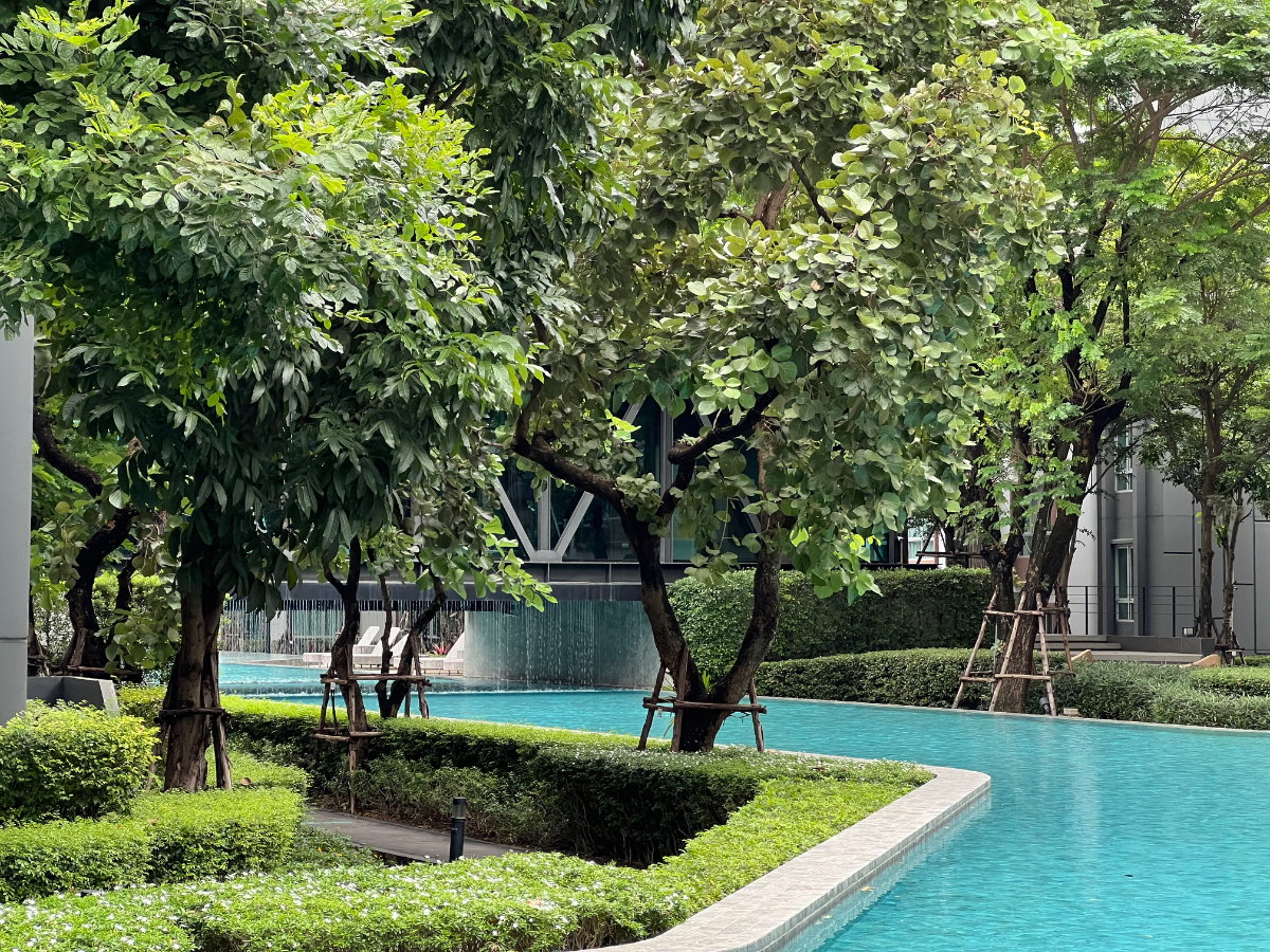 รูป ✅ให้เช่า ดีคอนโดพิงค์ ชั้น5 ,30ตรม.ตึกบี 10,000บาท ☎️064-792-4426(เบญ) - รูปที่ 13/19