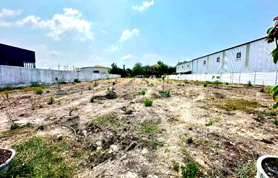 Land for sale Bang Pu Industrial Estate :  Land for sale, leveled and ready for construction. Beautiful plot, prime location in Phraeksa Soi 12, Samut Prakan Province. 