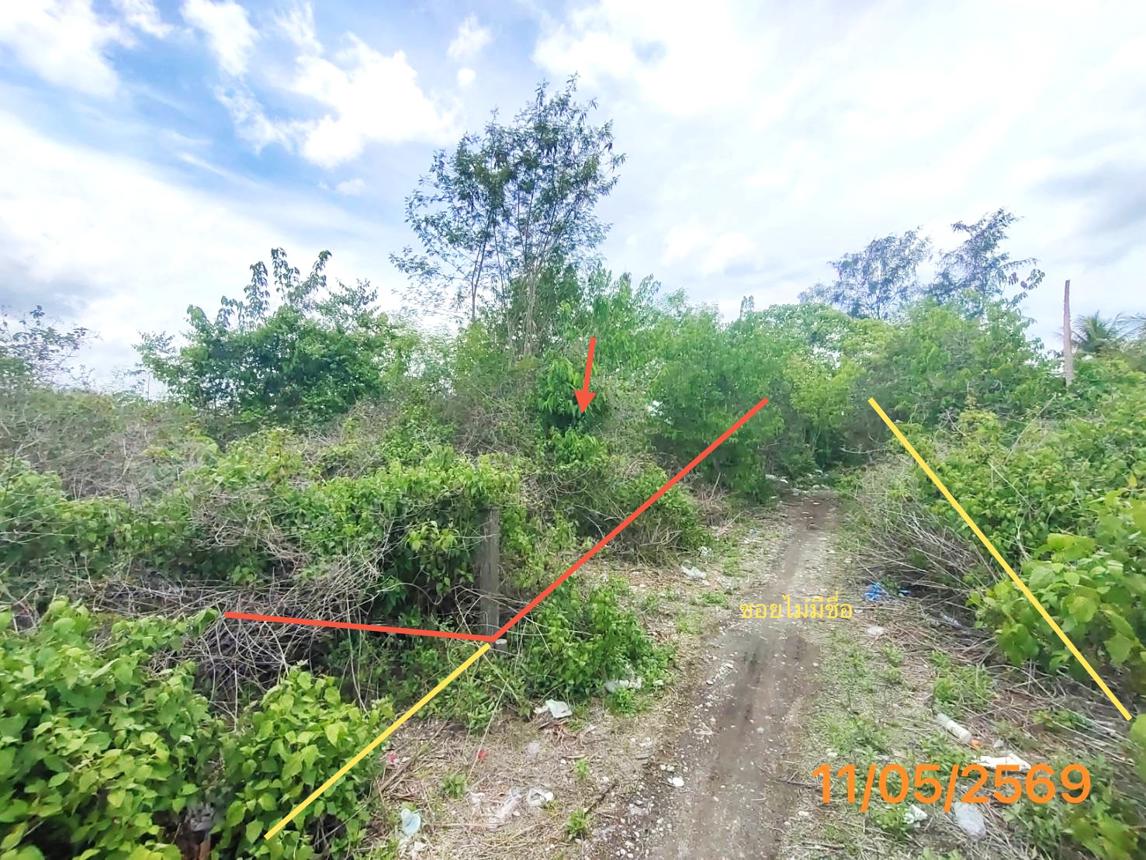 รูป ที่ดินว่างเปล่า 150 ตร.วา เมืองกระบี่ กระบี่ 995,000 - รูปที่ 7/15