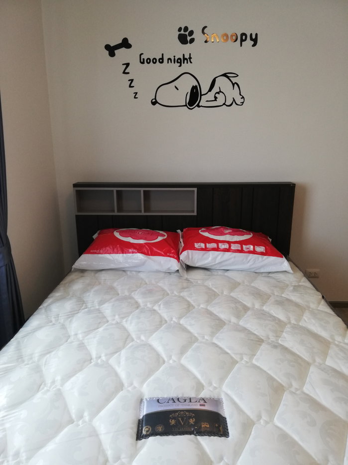 picture For Rent The point Condo Rungsit Klong 6 - 11/19