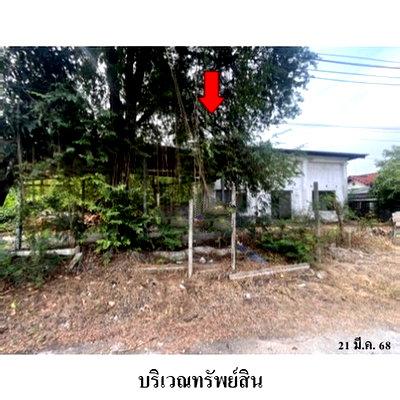 โรงงาน นิคมอัญธานี (เจมโมโปลิส) : Z3A1700 ขายโรงงาน / โกดัง แขวง ประเวศ เขต ประเวศ จังหวัด กรุงเทพมหานคร