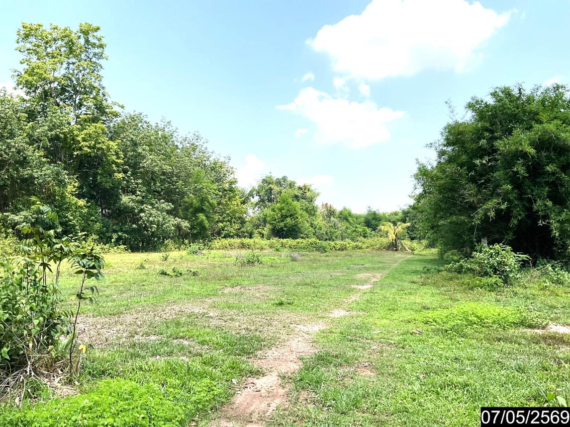 picture LAND 2302 Sq.w. Nongkai for 7.8M - 20/25