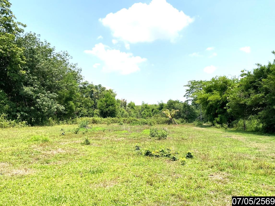 picture LAND 2302 Sq.w. Nongkai for 7.8M - 14/25