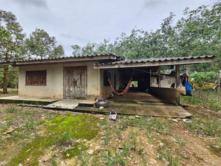 picture Fruit orchard for sale, mixed crop, Tha Mai District, Chanthaburi. Title deed ready for transfer. - 3/12