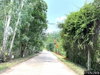 listing thumbnail image 20