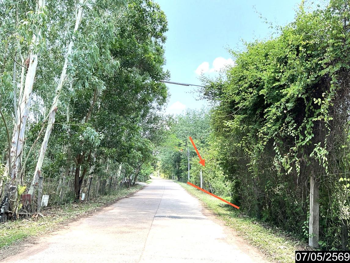 picture LAND 2302 Sq.w. Nongkai for 7.8M - 21/25