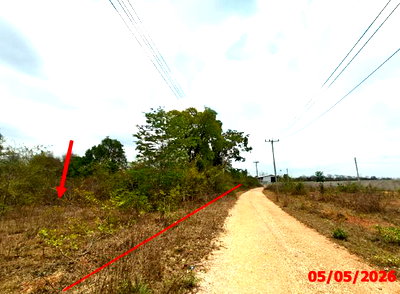 ขายที่ดิน : ที่ดินว่างเปล่า 920 ตร.วา บ้านสวนอรุณรุ่ง เมืองลำปาง ลำปาง 1.3M