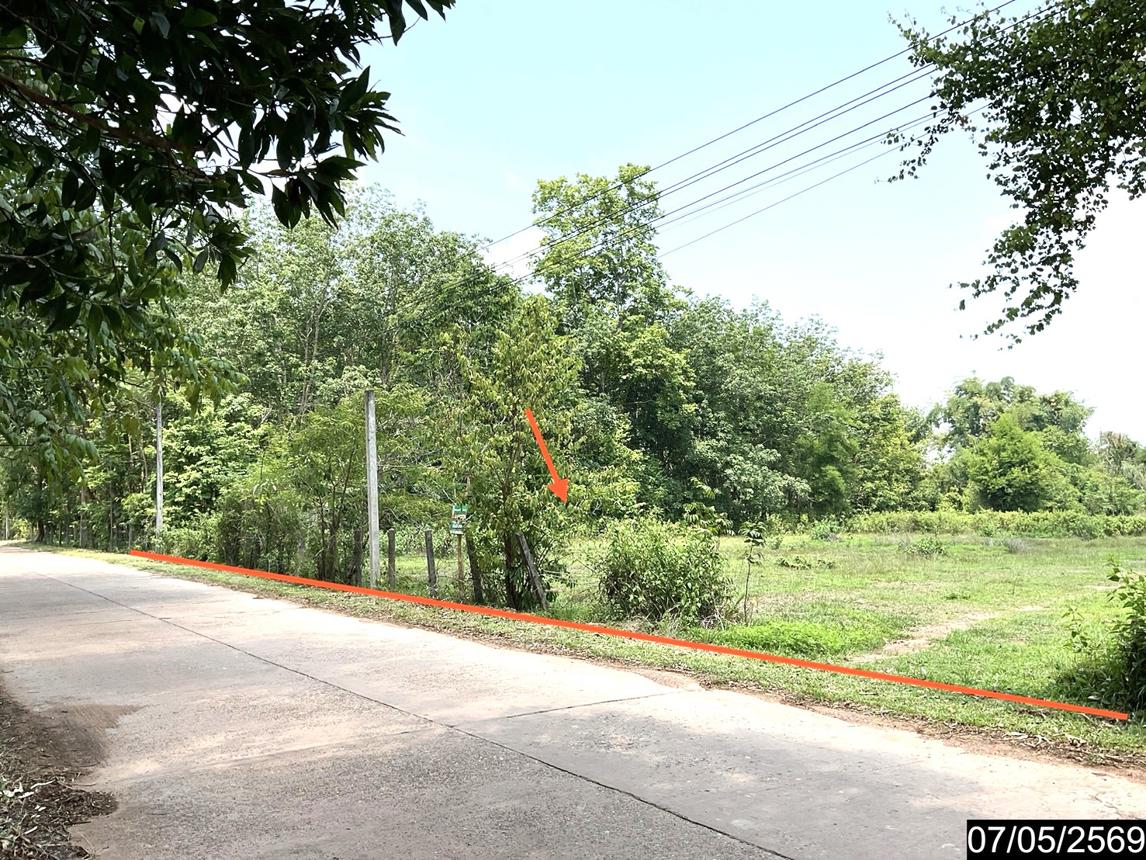 picture LAND 2302 Sq.w. Nongkai for 7.8M - 13/25