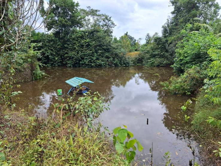 picture Fruit orchard for sale, mixed crop, Tha Mai District, Chanthaburi. Title deed ready for transfer. - 12/12