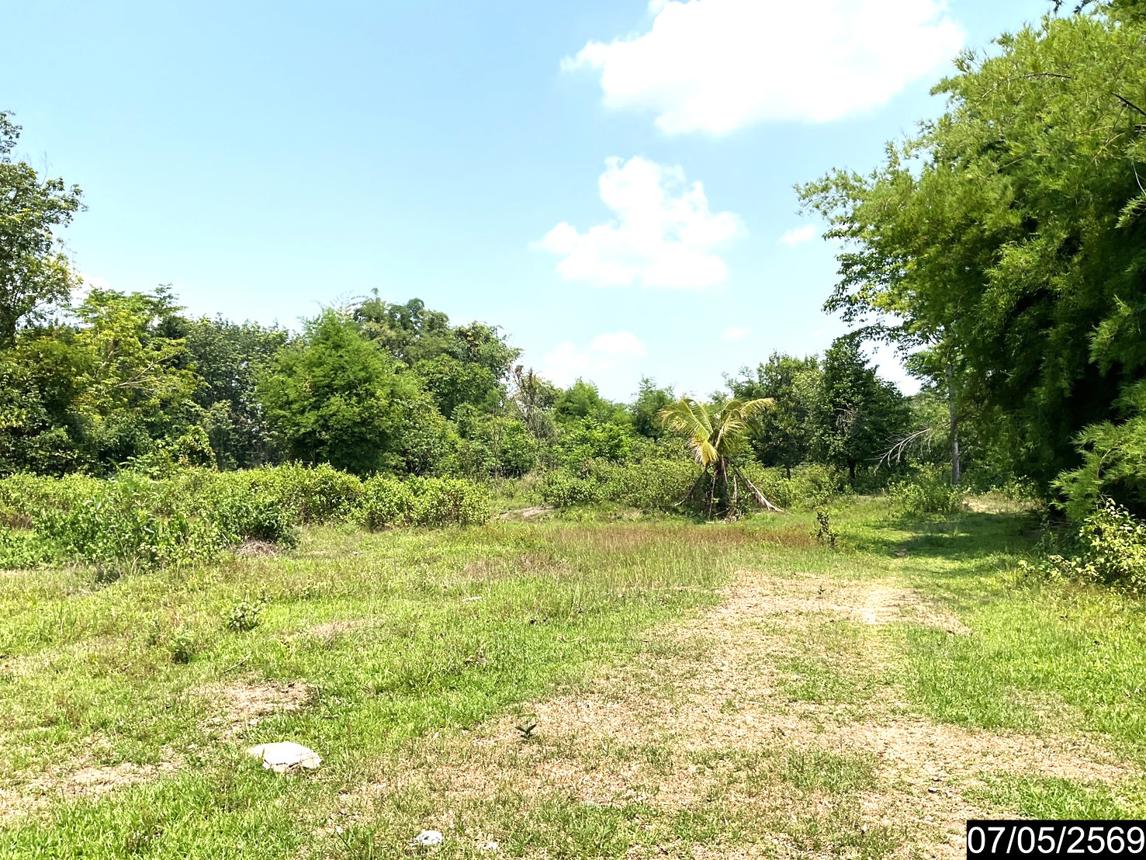 picture LAND 2302 Sq.w. Nongkai for 7.8M - 15/25