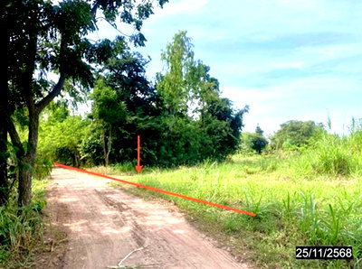 ขายที่ดิน : ที่ดินว่างเปล่า 2394 ตร.วา ชุมแพ ขอนแก่น 958,000