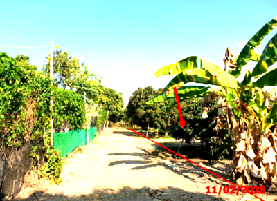 ขายที่ดิน : ที่ดินว่างเปล่า 803 ตร.วา เวียงหนองล่อง ลำพูน 1.2M