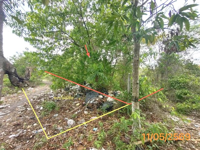 รูป ที่ดินว่างเปล่า 150 ตร.วา เมืองกระบี่ กระบี่ 995,000 - รูปที่ 2/15