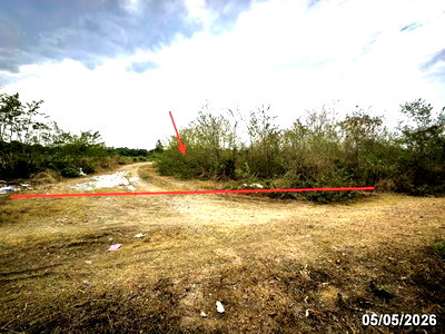 Land for sale Chiang Mai : LAND 1299 Sq.w. San Pa Tong Chiang Mai for 2.1M