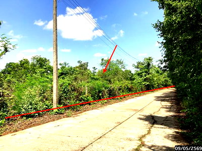 Land for sale : LAND 12389 Sq.w. Ku Su Man Sakon Nakhon for 7.7M